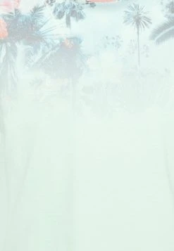 INDICODE JEANS PALENCIA - T-shirt Imprimé - Pastel Green 2 INDICODE JEANS PALENCIA - T-shirt Imprimé - Pastel Green -INDICODE Ventes 86b308e6f526499285639aab36557cd3